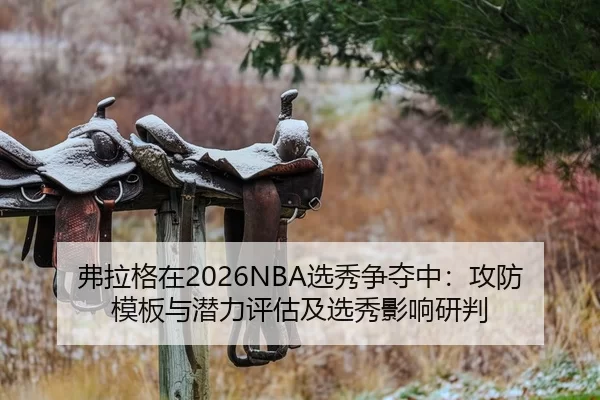 fu-la-ge-zai-xuan-xiu-zheng-duo-zhong-gong-fang-mu-ban-yu-qian-li-ping-gu-ji-xuan-xiu-ying-xiang-yan-pan-2-211.jpg